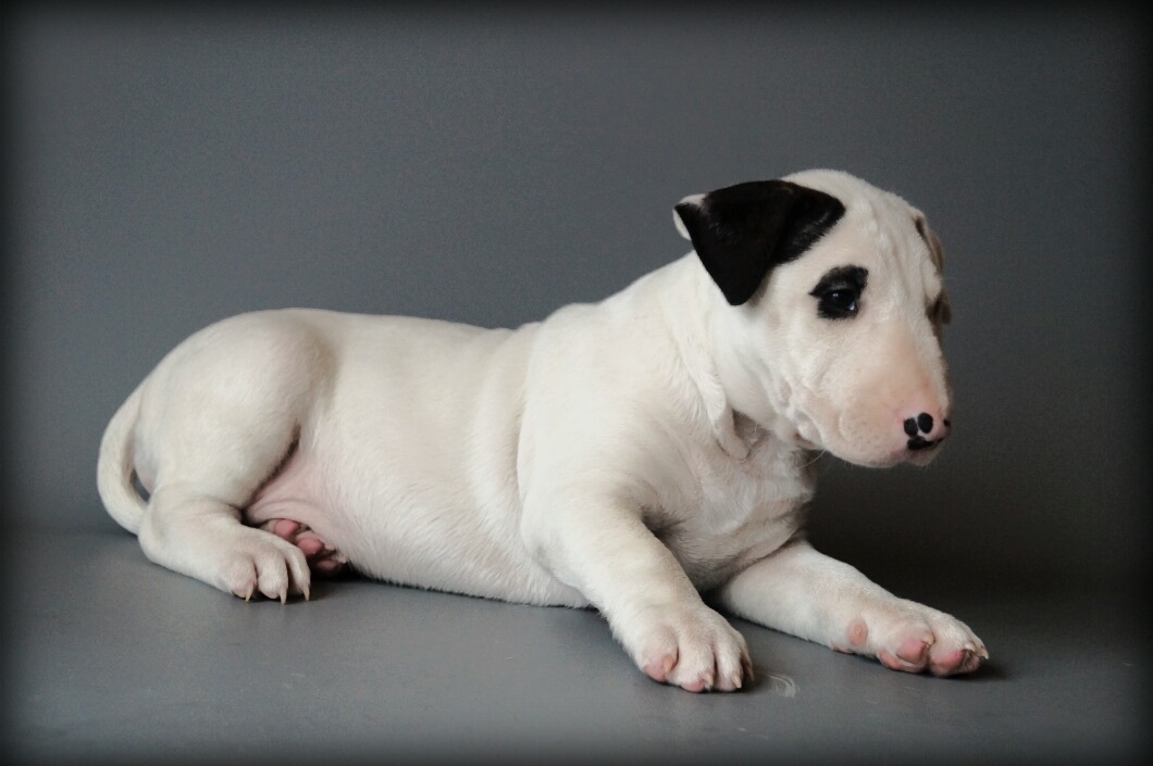 Для девочек: