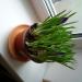 P1010197.JPG