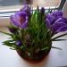 P1010200.JPG