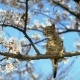 жалоба в отдел образования о непредоставлении места в школе образец