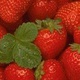можно ли вернуть крышки для консервирования в магазин. Смотреть фото можно ли вернуть крышки для консервирования в магазин. Смотреть картинку можно ли вернуть крышки для консервирования в магазин. Картинка про можно ли вернуть крышки для консервирования в магазин. Фото можно ли вернуть крышки для консервирования в магазин