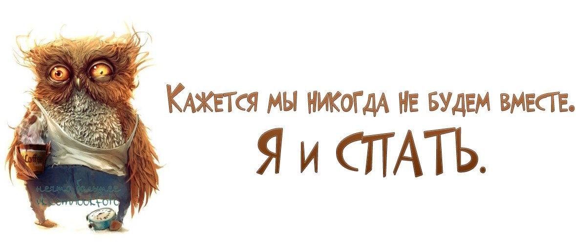 Кажется никогда. Совенок хочет спать. Приколы про недосып. Недосып юмор. Сова хочет спать.