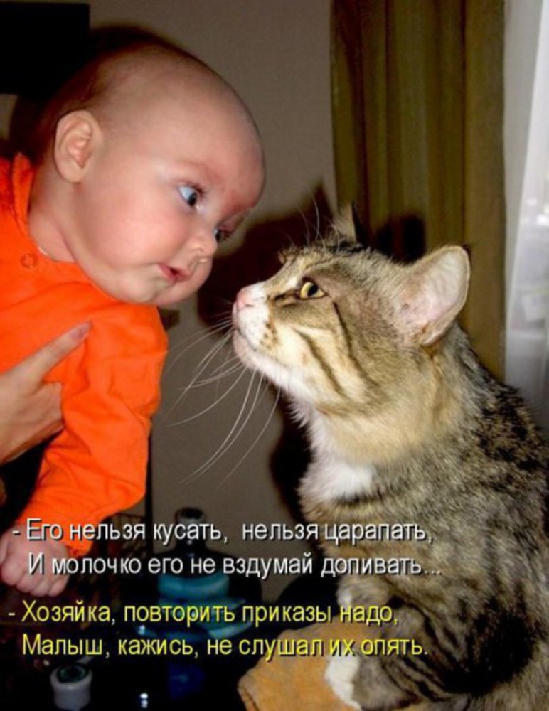 Подпись К Фото С Животными
