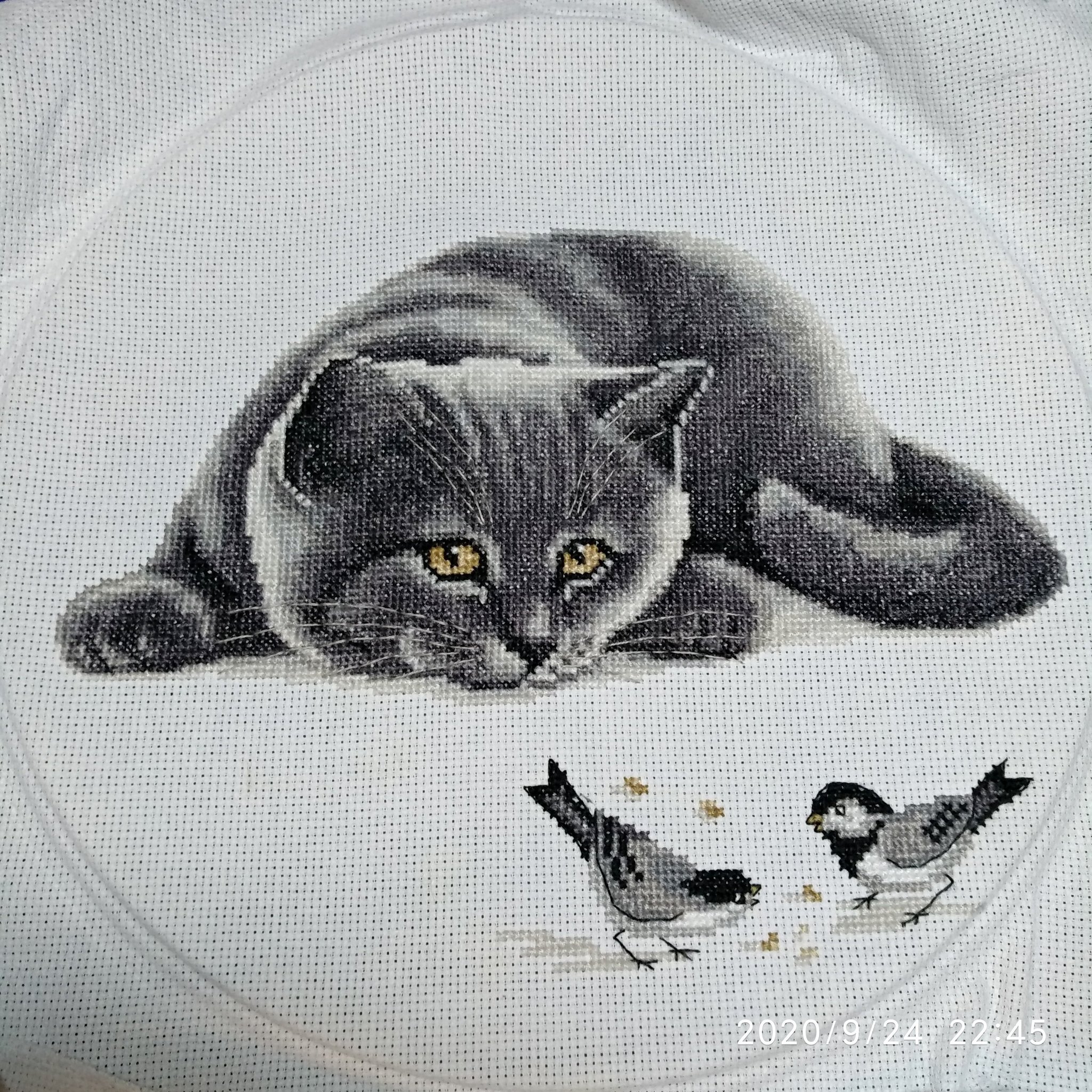 Крестиком серый кот