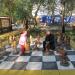 Играем в шахматы