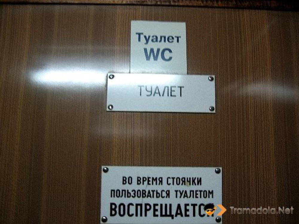 Подросток девушка на туалете. Туалетное время. Cameramen унитазы игра. Советские таблички на туалет. Туалетное время.