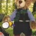 87064139_large_Bear_robin.jpg