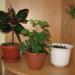 апрель 2010 045.jpg