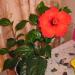 июль 2010 059.jpg