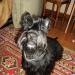 без названия