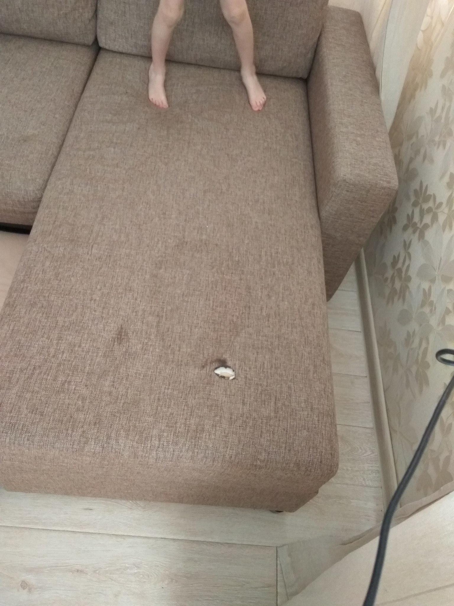 кот подрал диван из экокожи