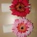DSC02169.JPG