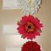 DSC02148.JPG