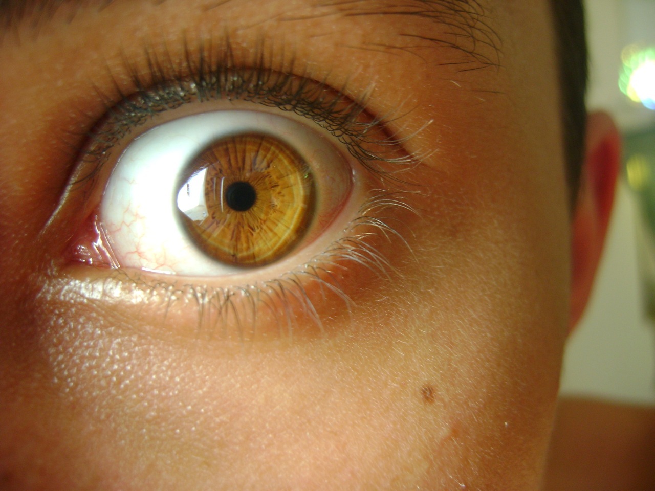 Почему у людей есть глаза. Желтый цвет глаз. Желто карие глаза. Янтарные глаза. Желто коричневые глаза.