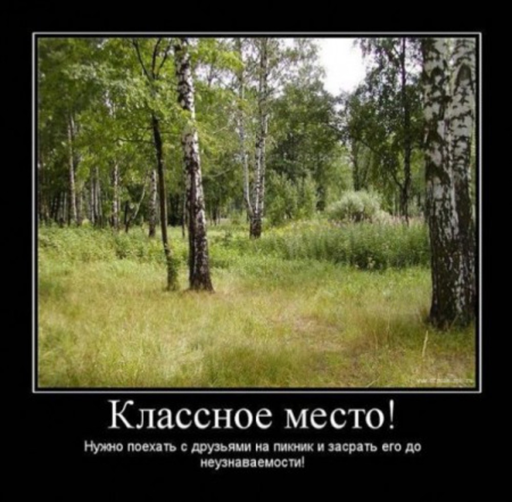 Места надо. Шутки природы. Демотиваторы про природу. Экология демотиватор. Демотиваторы про отдых на природе.